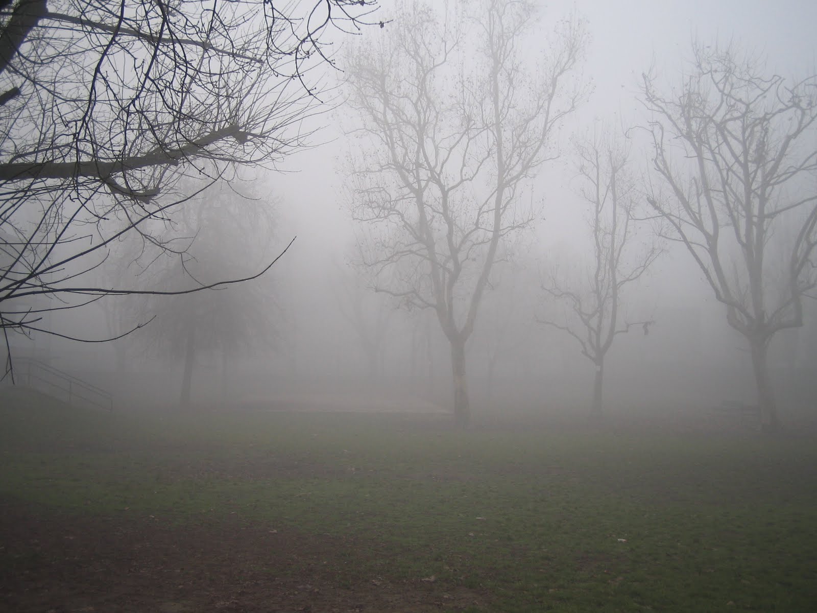 LIFE THRU LENS: foggy wednesday
