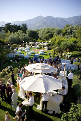 Wedding In Backyard
