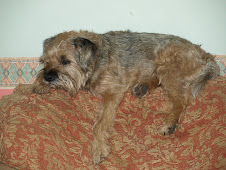 Dudley 2001 - 2009