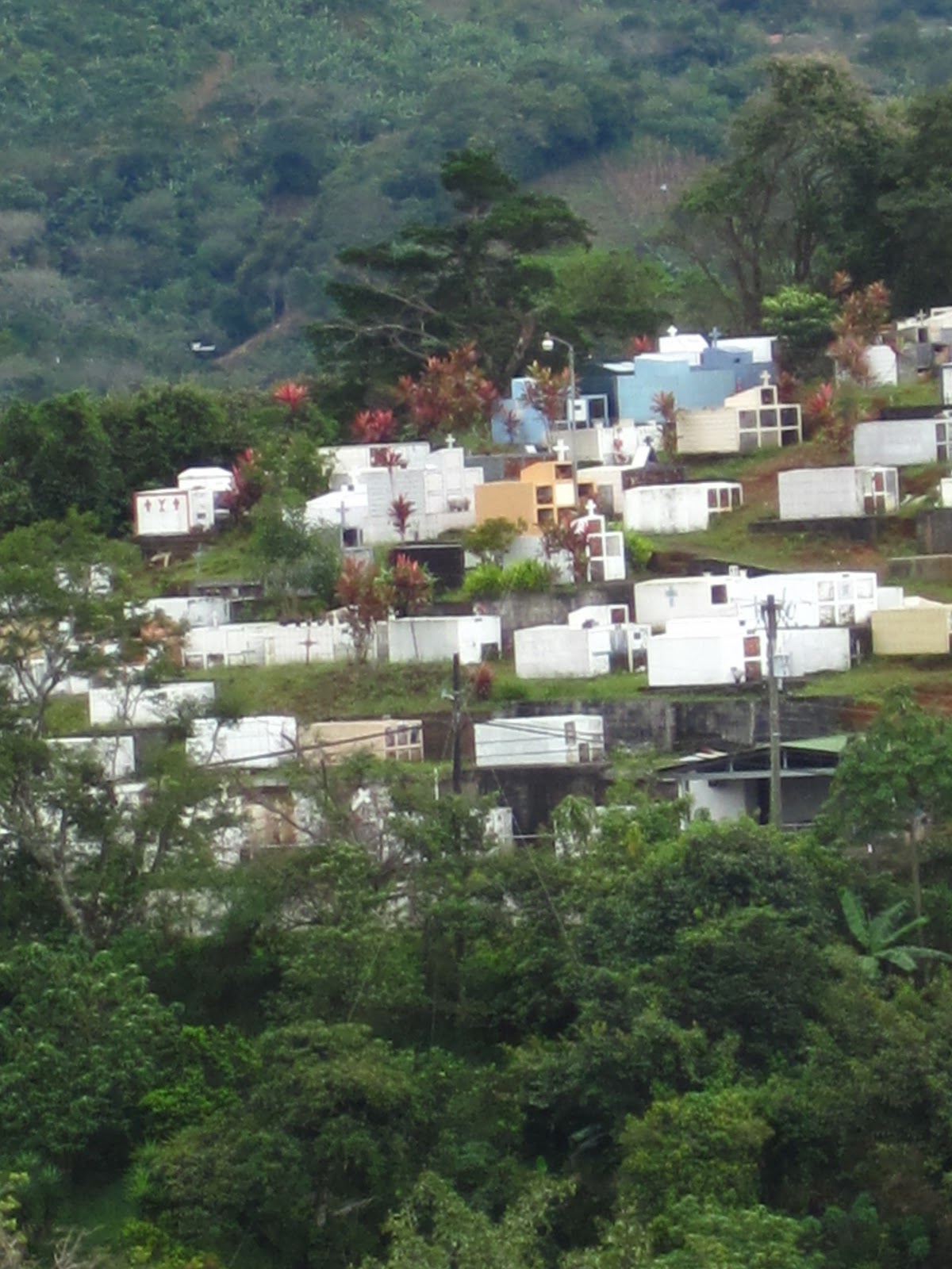 Audrey's Costa Rica Vuelta De Jorco