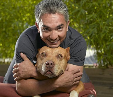 [CesarMillan.jpg]