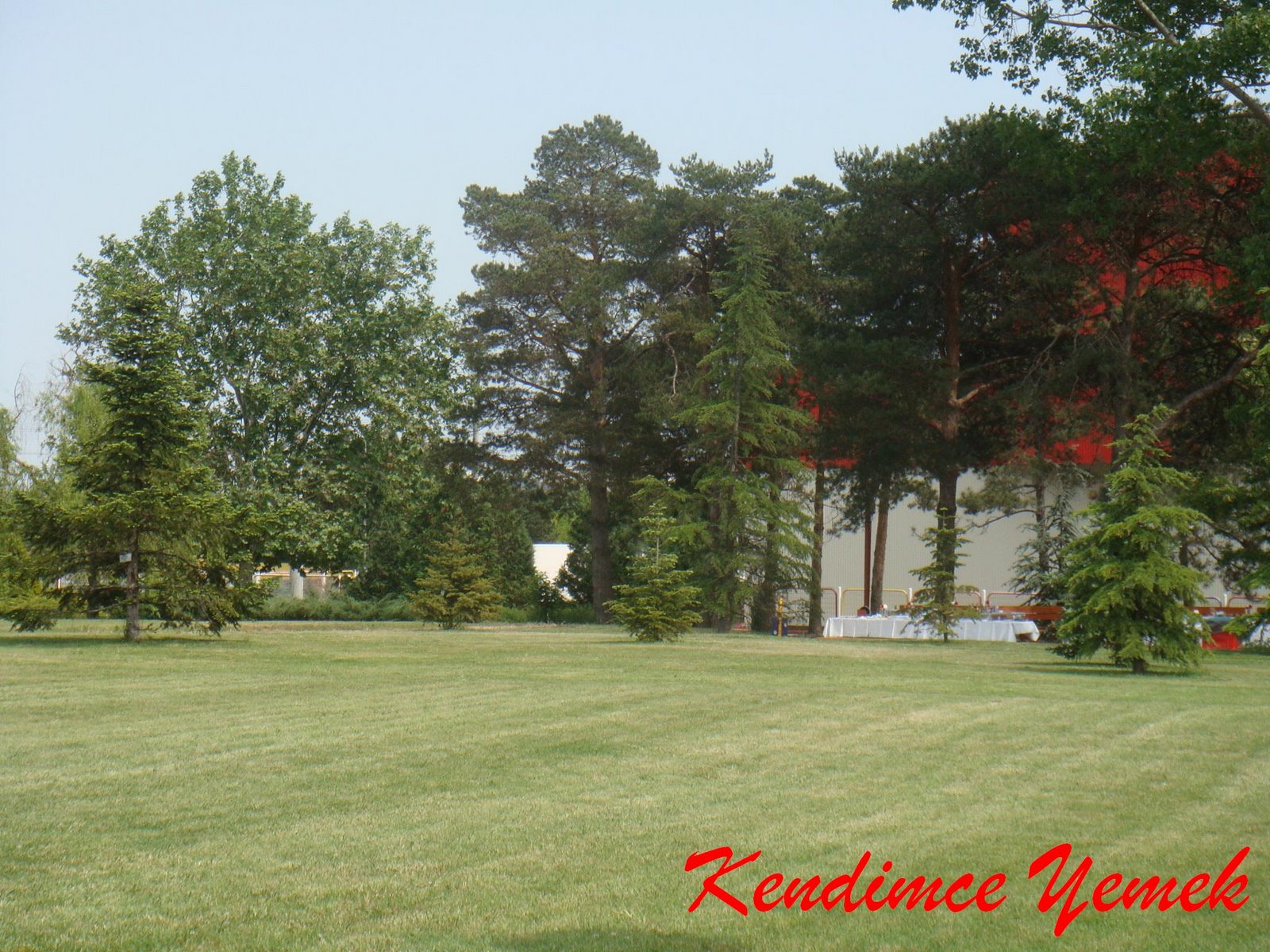 [DSC01675.JPG]