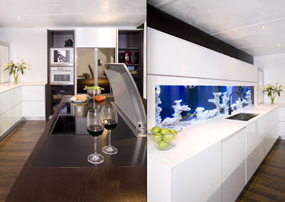 Modern Dynamic Kitchen Design by Darren Morgan   Glenvale Kitchens