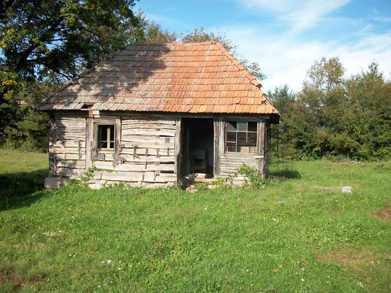 casa traditionala Damis