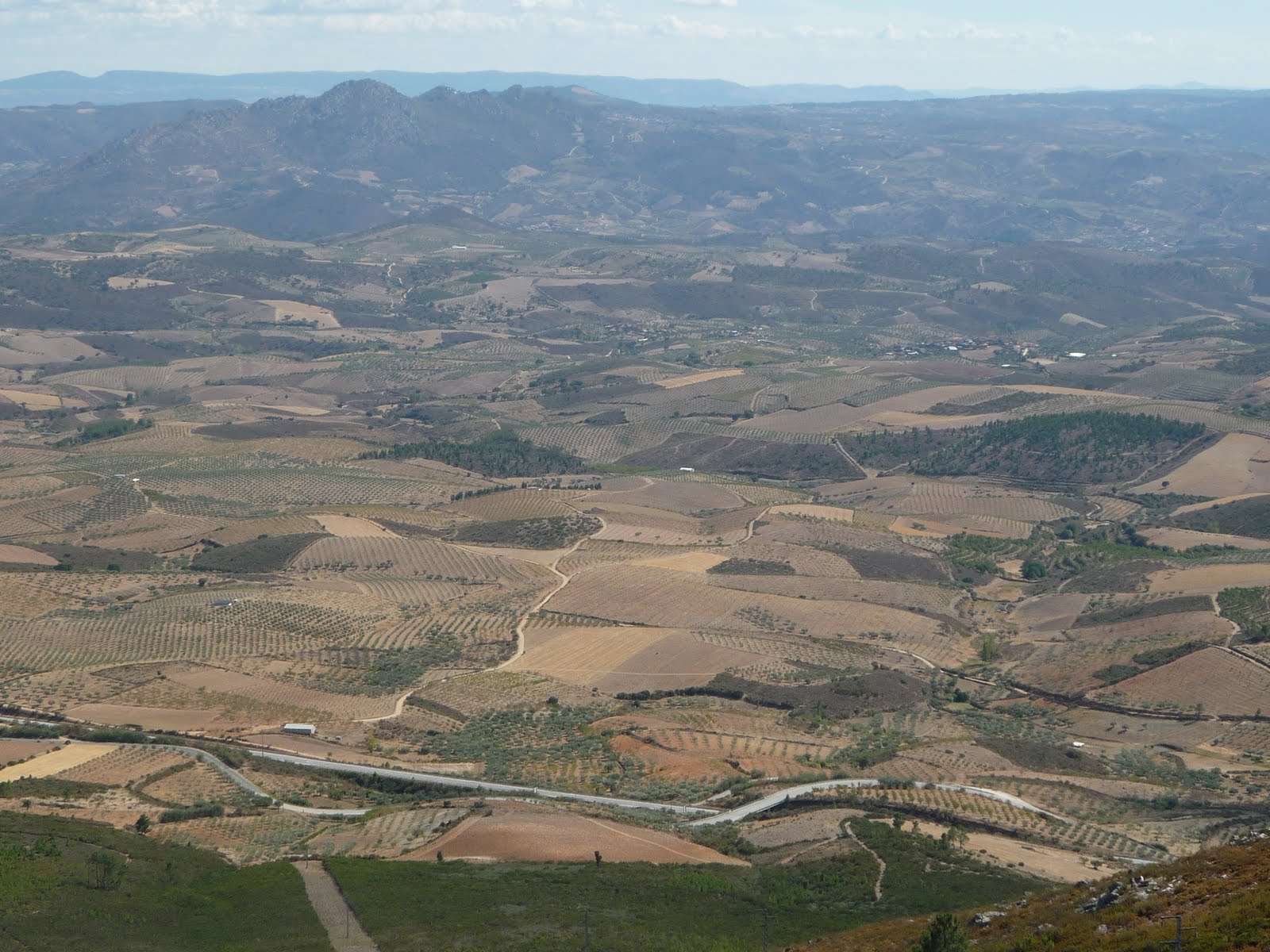 [P1020838.JPG]