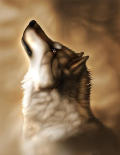 Bildergebnis für white and brown anime wolf