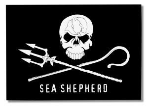 who is sea shepherd? Click Below