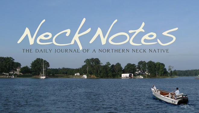 Northern Neck Virginia Opinions, Real Estate, Local Flavor, Things To Do.