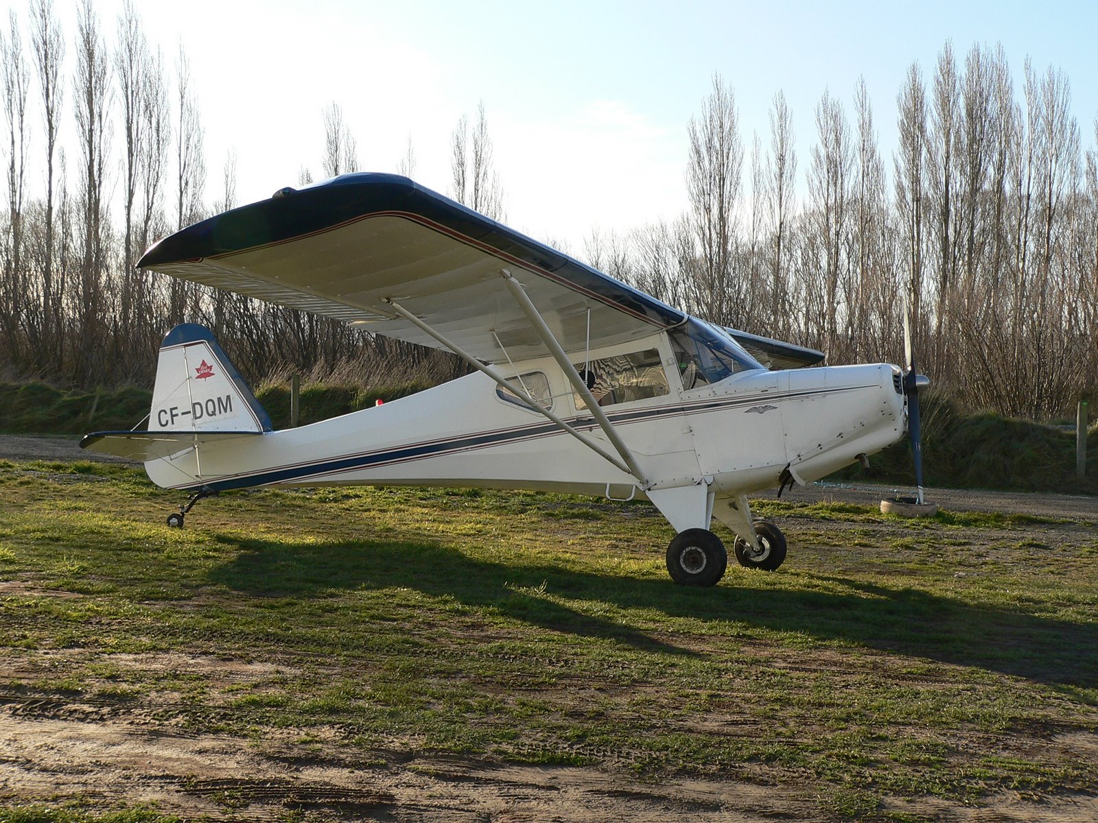 [CF-DQM,.RT.,13-07-2008.JPG]