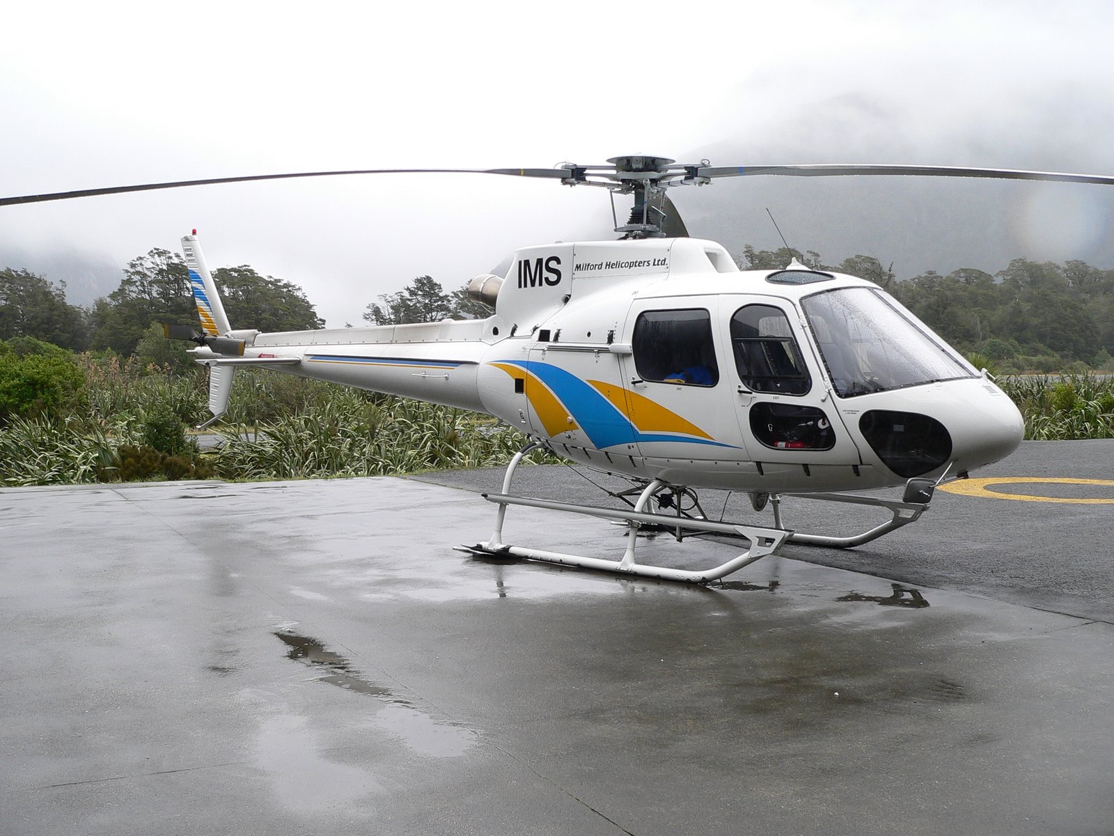 [IMS+MF+10-10-08.JPG]