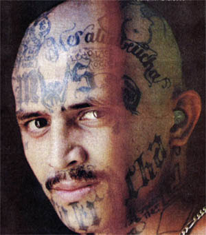 latino prison gangs ms 13 mara salvatrucha 13 latino prison gangs ms 13 mara salvatrucha 13