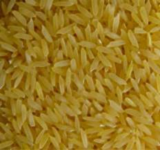 Gmo Golden Rice