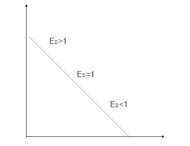 [elast.webp]