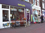 Sad, lonely and dramatic Dog, Delft