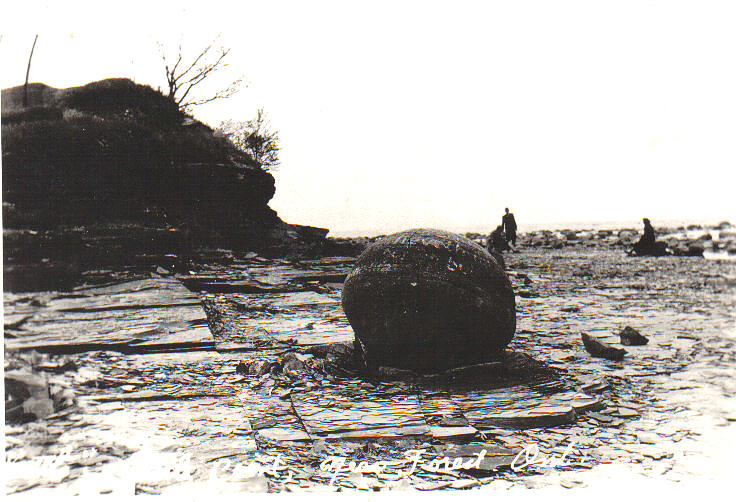 'Burg Birder KP and the Kettles