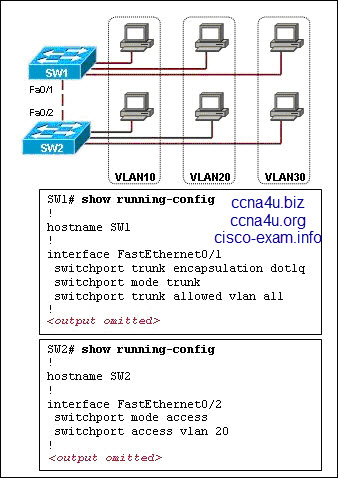 CCNA Exploration Final Exams Version 4.0 PDF eBooks