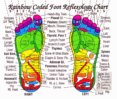 electronic items amp sport goods foot massagers norman reflexology foot chart