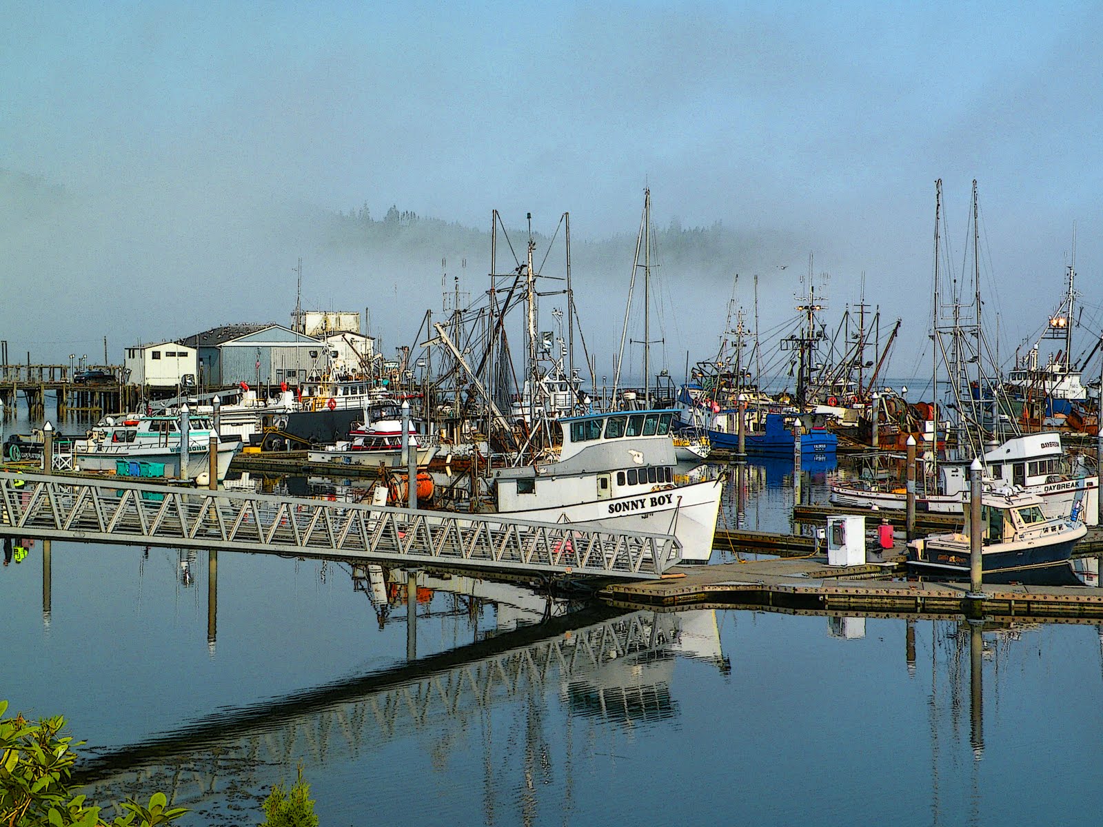 Captured by Cathy Trip to Neah Bay, Port Angeles, and Sequim