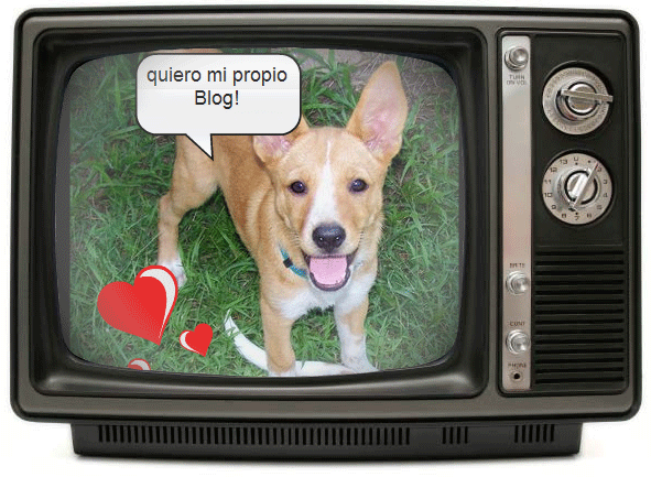 [perroblog.gif]