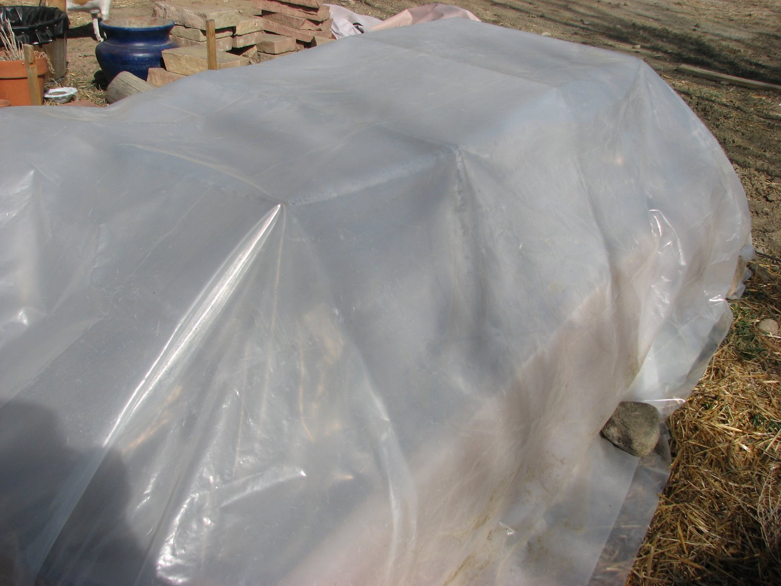 [coldframe.jpg]