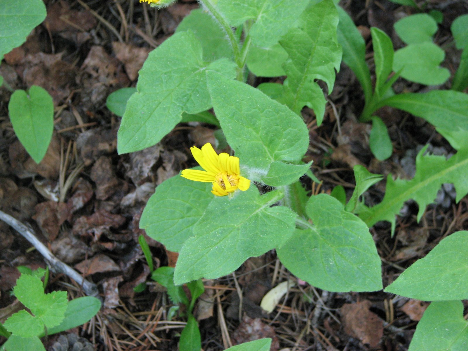 [IMG_1685.JPG]