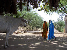 Pushkar (India)