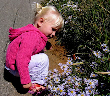 Snowbird - September 2007