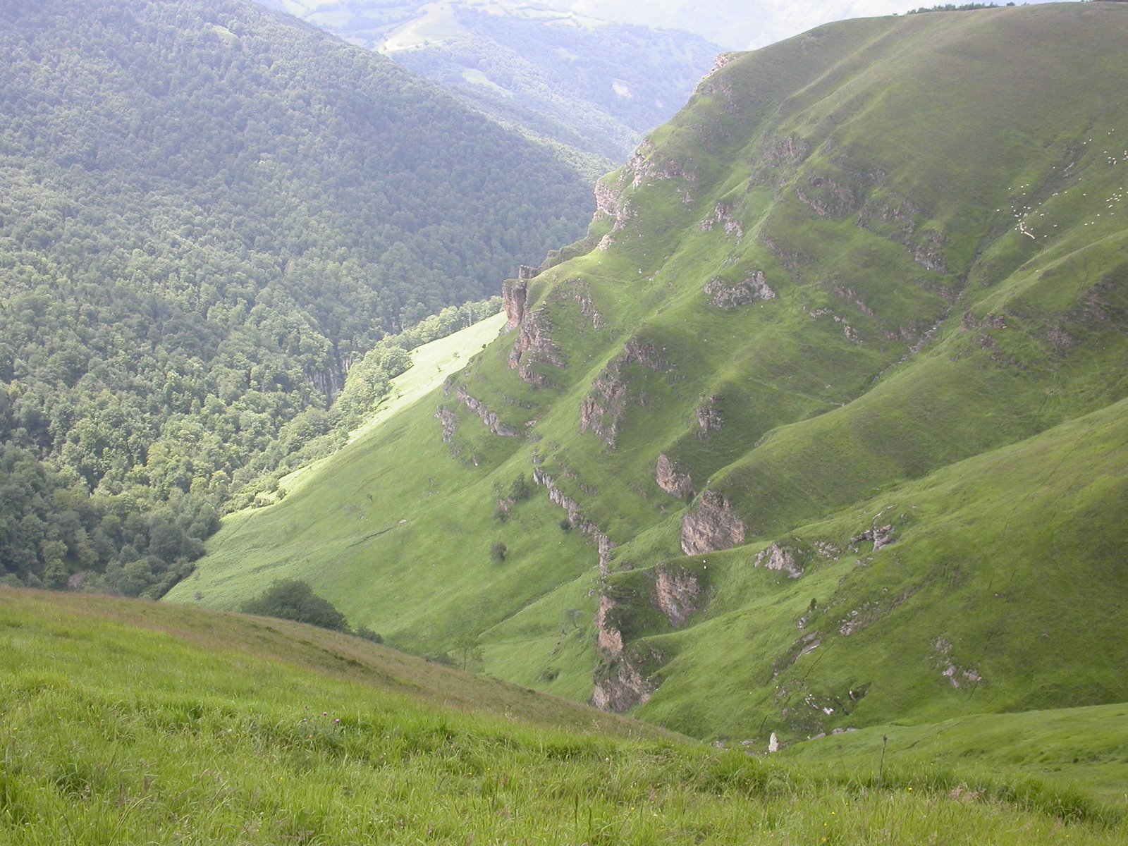 [Img0583.JPG]