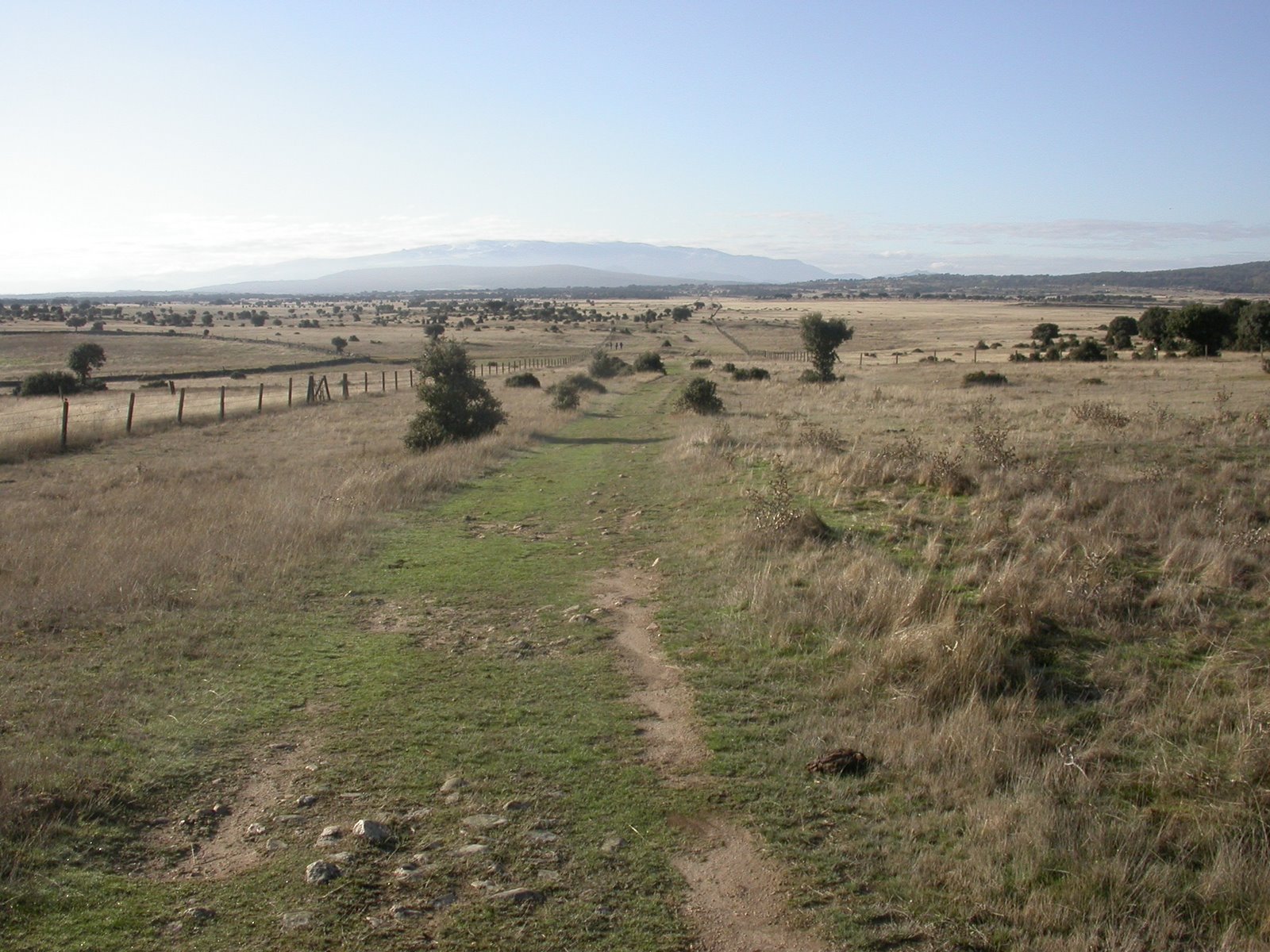 [Img3086.JPG]