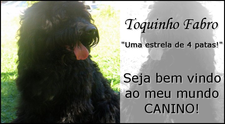 Toquinho Fabro - "Uma estrela de 4 patas"