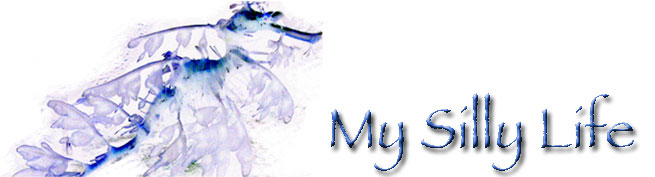 my silly life