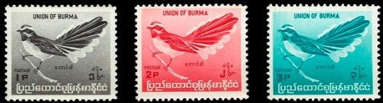 [001-+Birds+Small+-1.jpg]