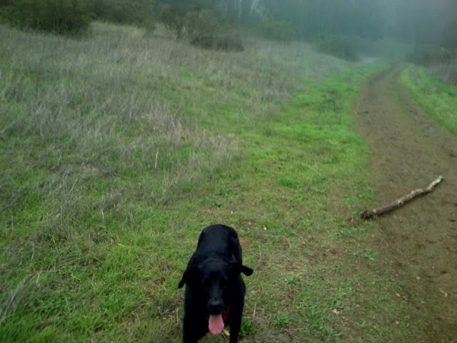[Macy+Trail.JPG]