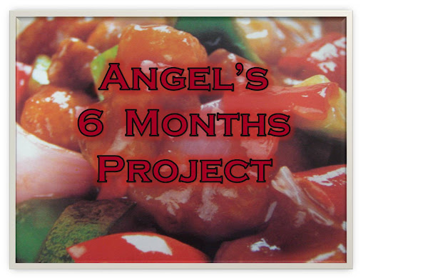 Angel's 6 Months Project