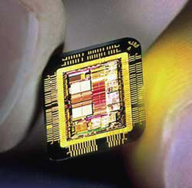 microchips microchips