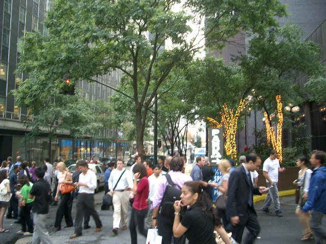 [IMGP1474.JPG]