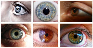 Cuál será su color de ojos? Cuál será su color de ojos?