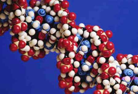 VARIACION NO HEREDITARIA variacion no hereditaria: