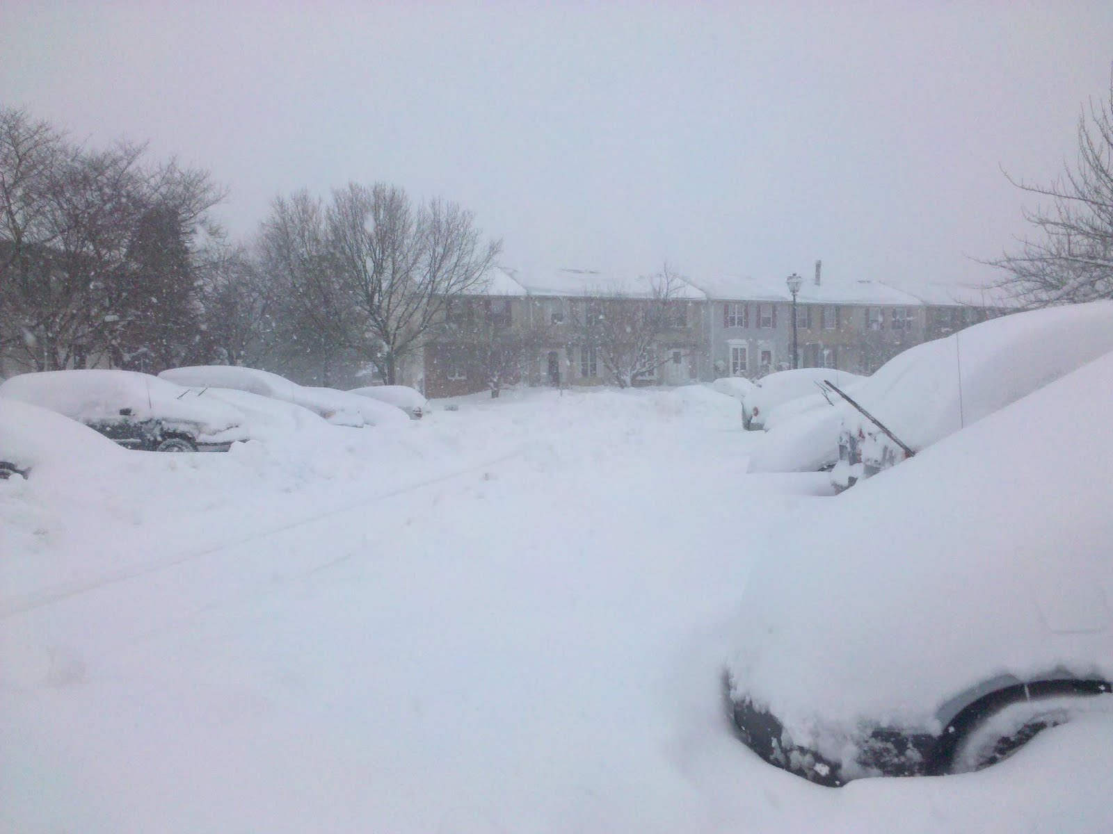 [2010-02-06+12.48.30.jpg]