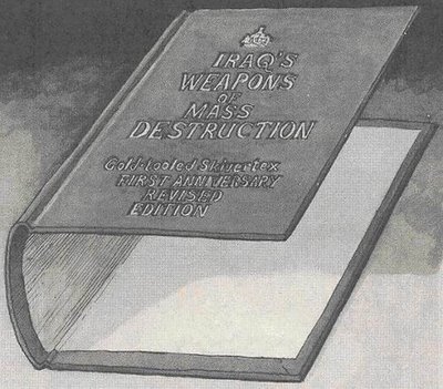 [IrakAMDVS2bs.jpg]