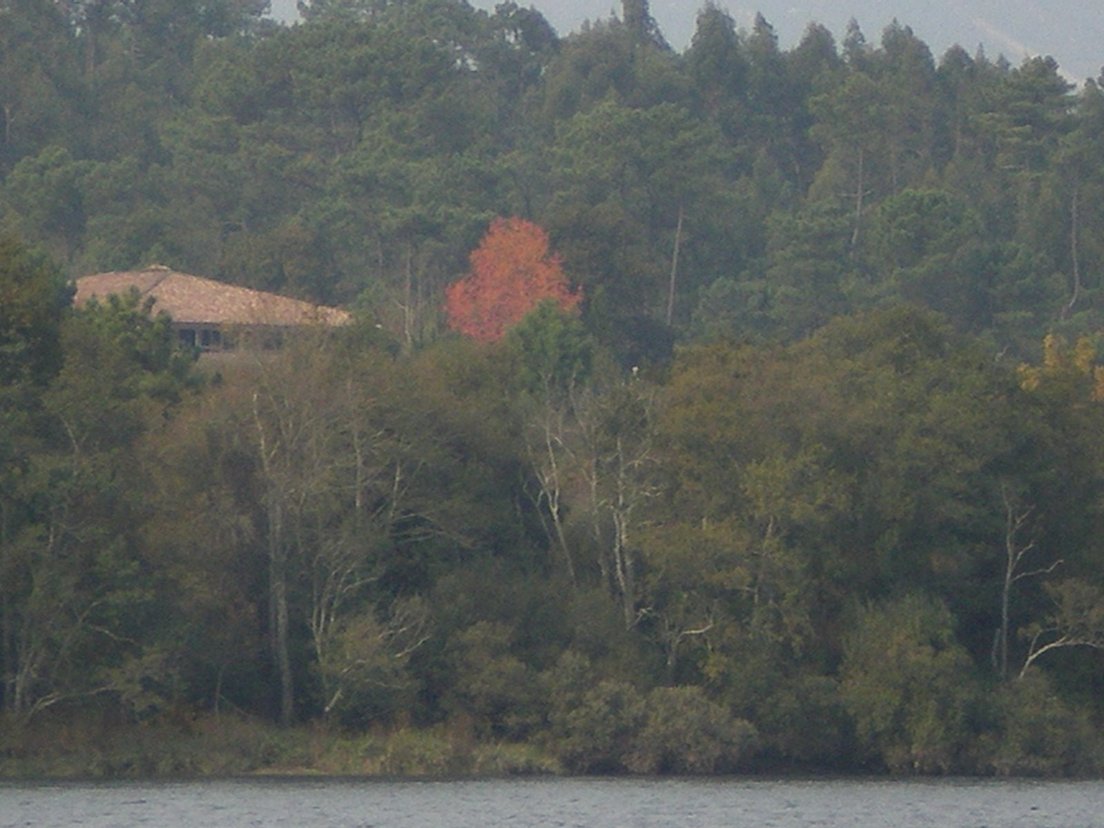[PB090037.JPG]