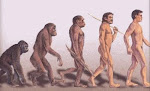 La psicología evolutiva