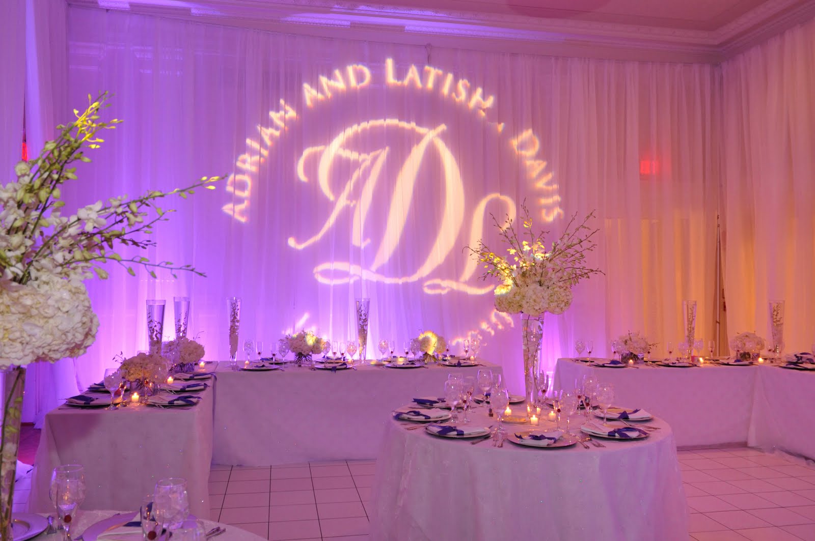 [carnegie+institute+(5).JPG]