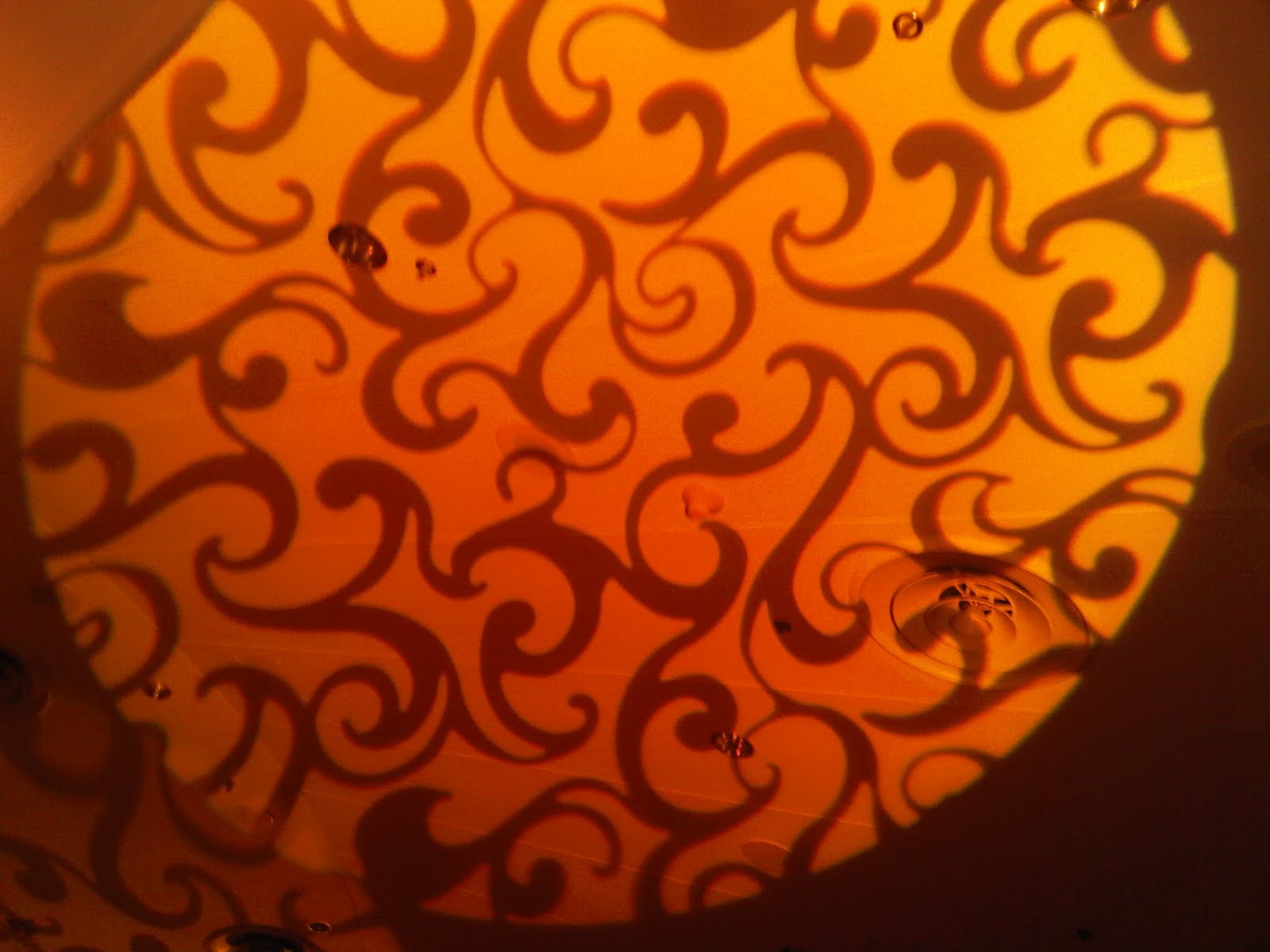 [brookside+gardens+silver+spring.jpg]