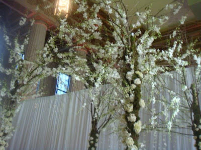 Beautifull arch with orchids at the Andrew Mellon