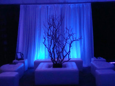 Brookside Gardens Wedding Pipe And Drape Lighting Chivary