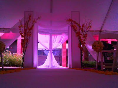 one of our canopies last weekend