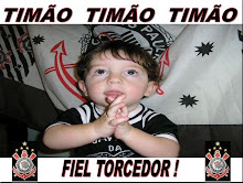 FIEL TORCEDOR