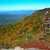 Fall Color Pictures Taken Today at Grandfather Mountain