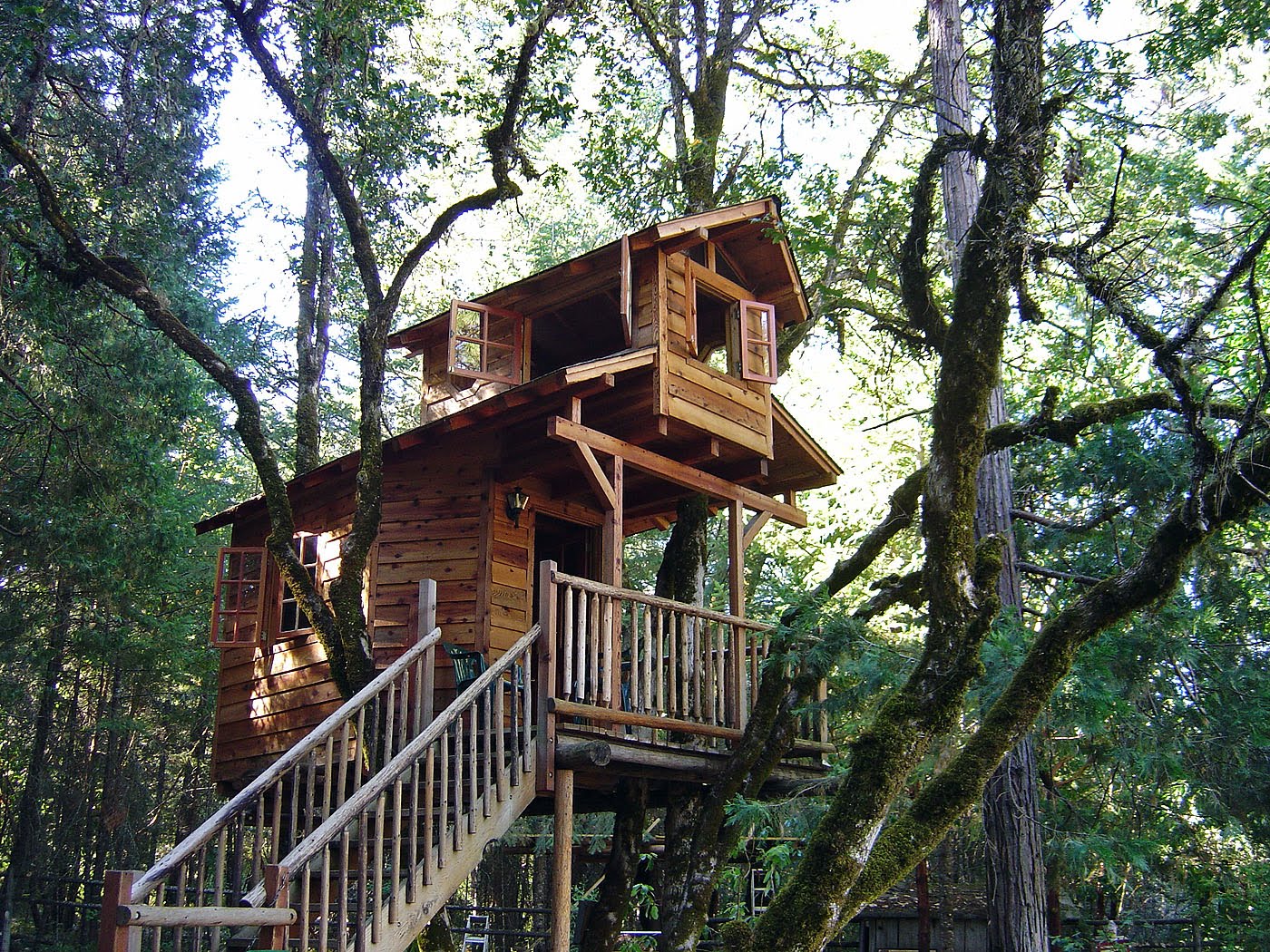 for a bear tree houses for a bear tree houses